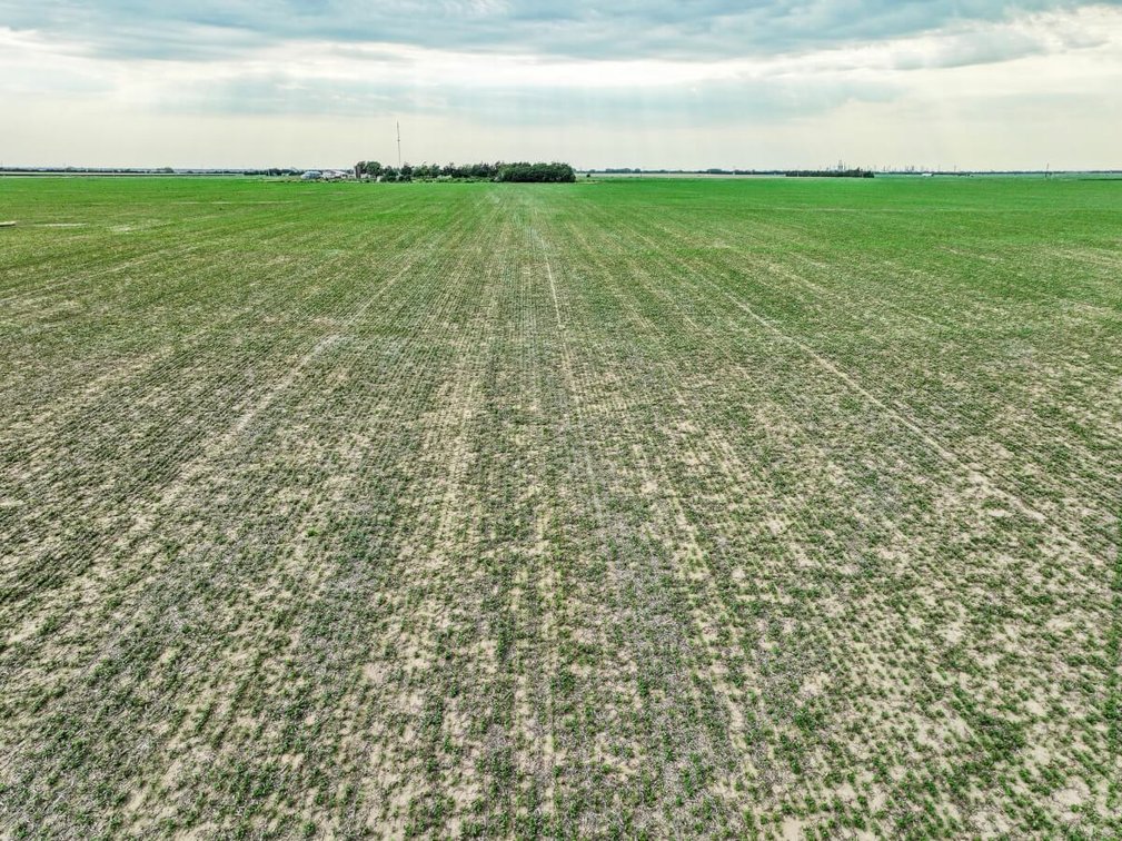 108+- Acres Tillable Farm Ground – McPherson County, Kansas photo 3