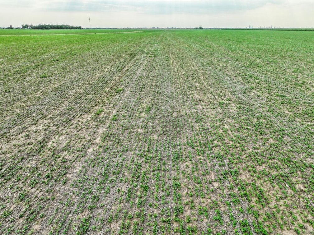 108+- Acres Tillable Farm Ground – McPherson County, Kansas photo 5