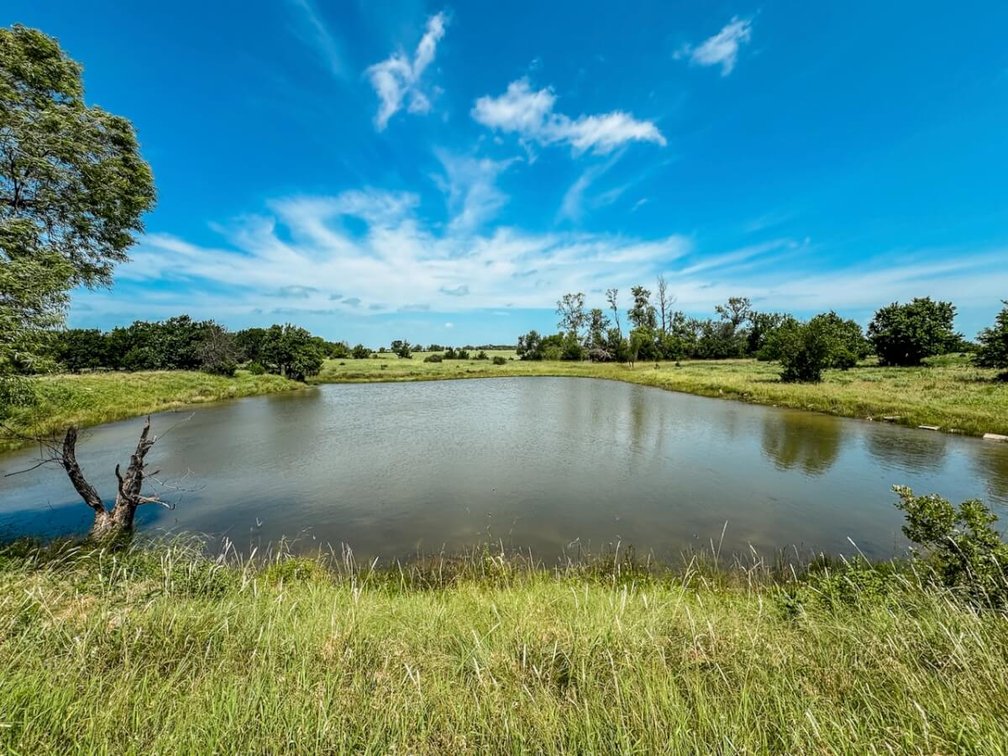 158 Acres Pasture, Ponds, Trees & Kansas Whitetail Deer – Elk County, Kansas photo 3
