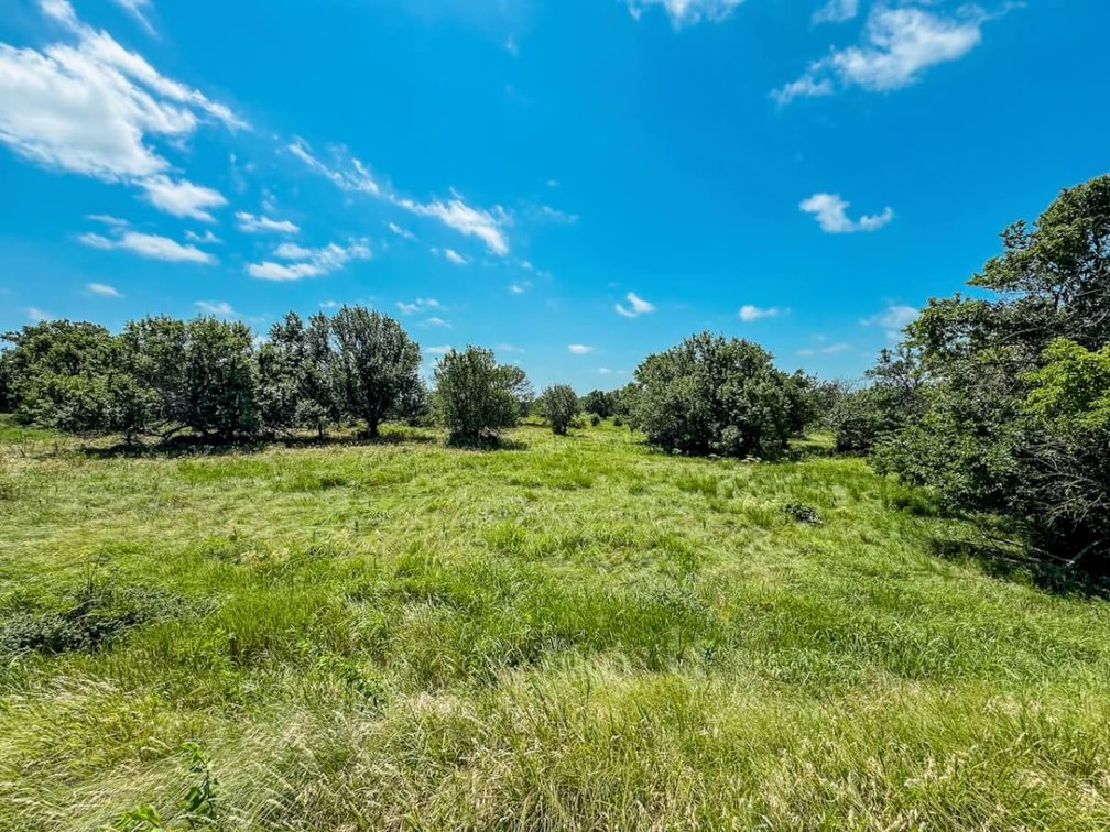 158 Acres Pasture, Ponds, Trees & Kansas Whitetail Deer – Elk County, Kansas photo 4