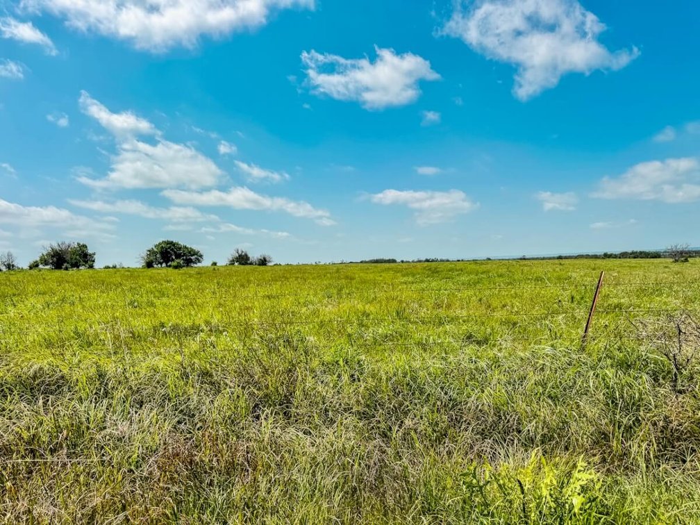 158 Acres Pasture, Ponds, Trees & Kansas Whitetail Deer – Elk County, Kansas photo 6