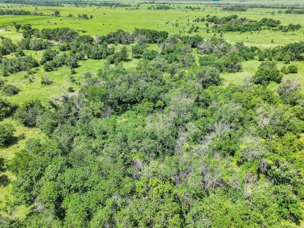 158 Acres Pasture, Ponds, Trees & Kansas Whitetail Deer – Elk County, Kansas photo 5