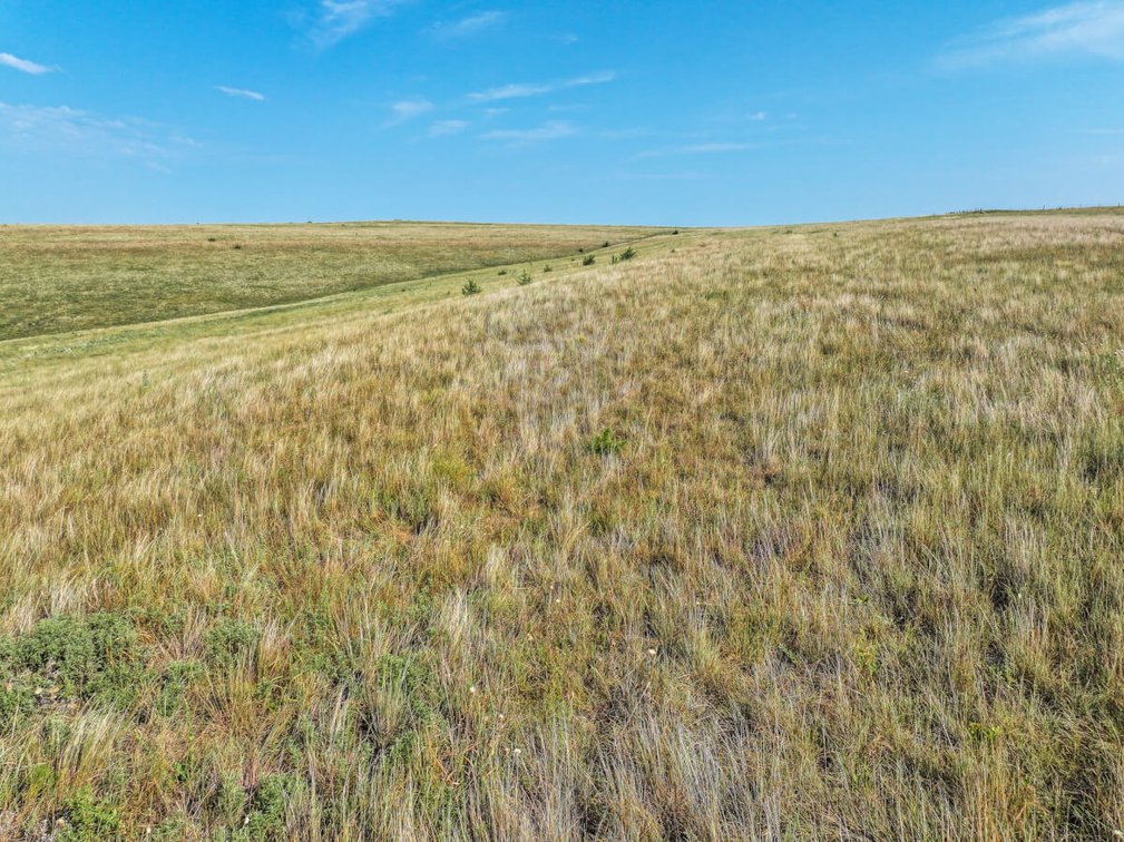 160 Acres Lincoln County, Kansas – Pasture, Tillable, Ponds & Water Well photo 3