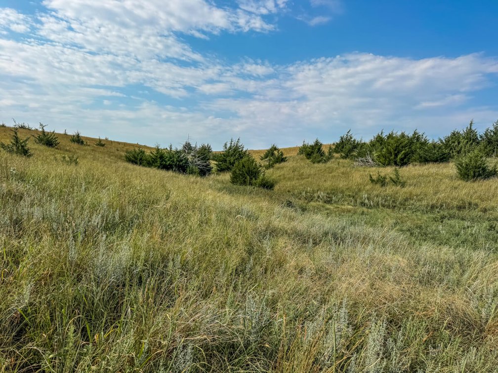 160 Acres Lincoln County, Kansas – Pasture, Tillable, Ponds & Water Well photo 8