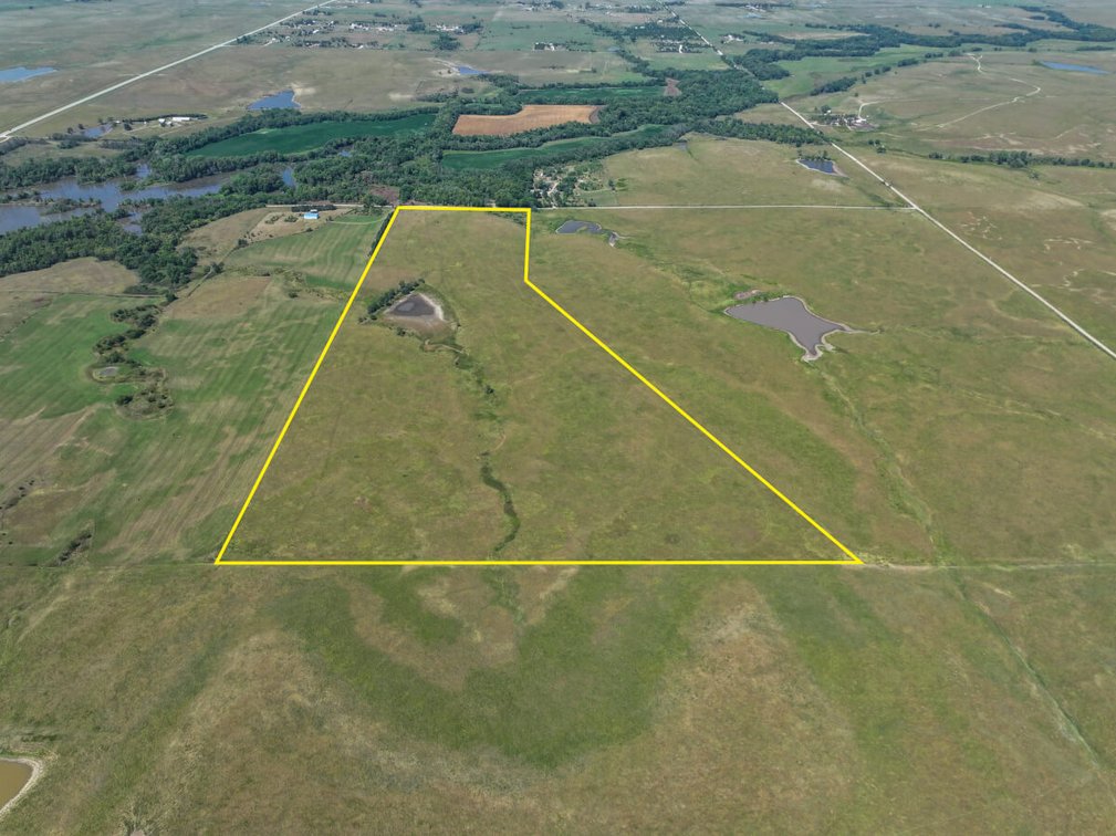 53.5 Acres of Native Pasture and a Large Pond near El Dorado Lake photo 2