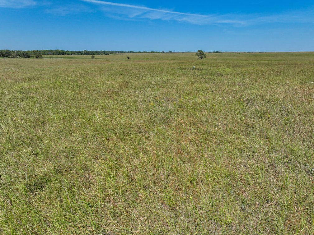 53.5 Acres of Native Pasture and a Large Pond near El Dorado Lake photo 4
