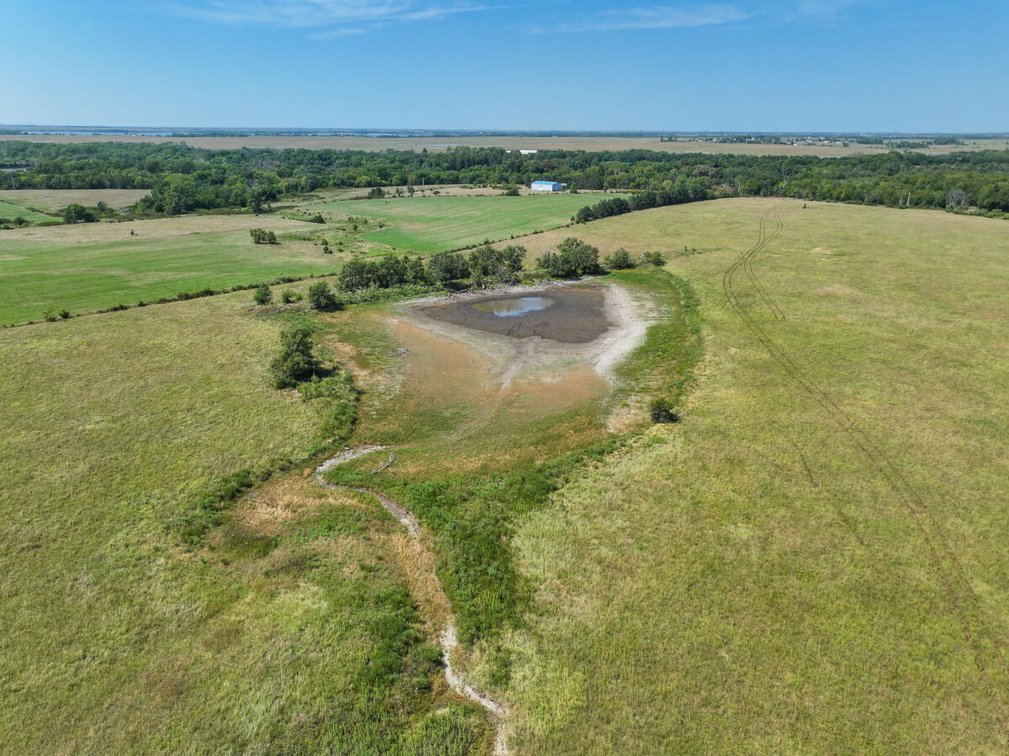 53.5 Acres of Native Pasture and a Large Pond near El Dorado Lake photo 8
