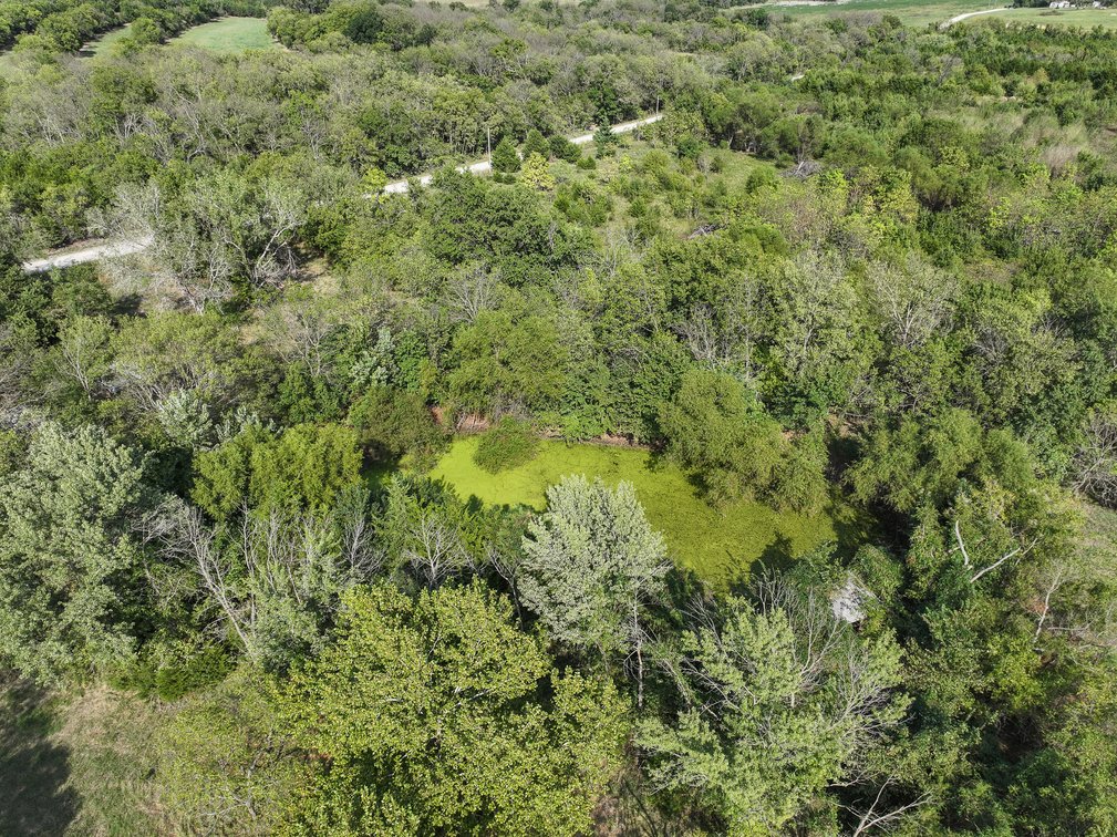 37+- Acres North of Severy in Greenwood County, Kansas – Pond, Pasture & Trees photo 7