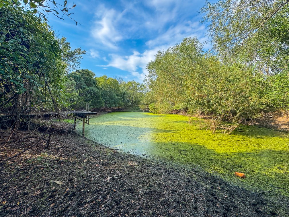 37+- Acres North of Severy in Greenwood County, Kansas – Pond, Pasture & Trees photo 8