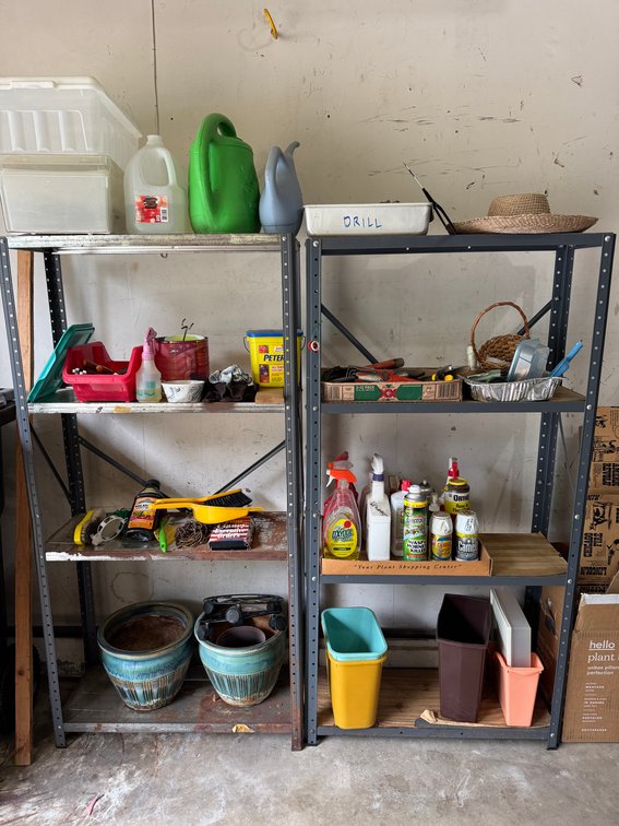 Shelves and Contents