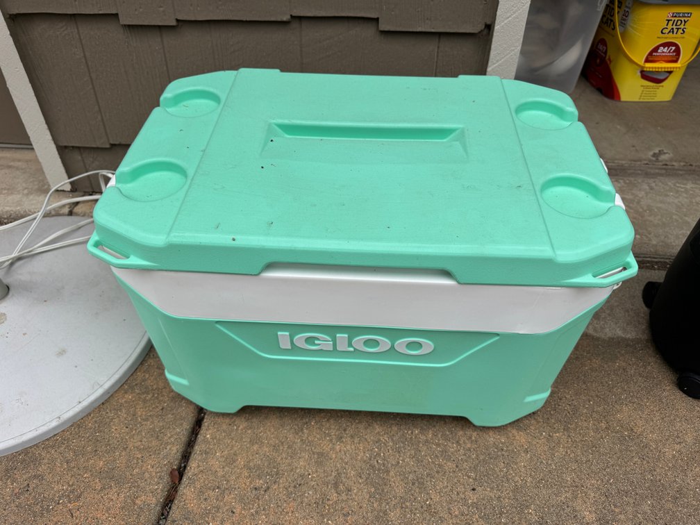 Igloo Cooler