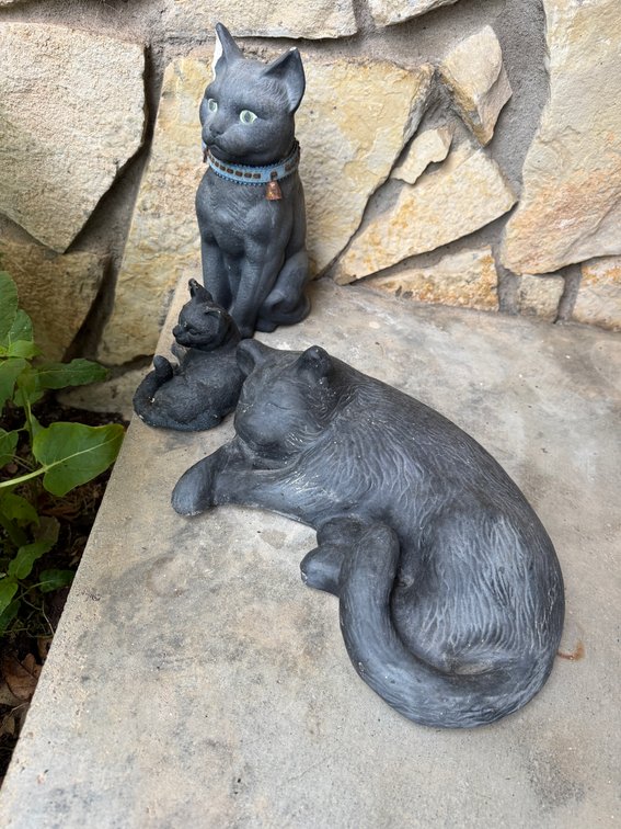 Concrete cats