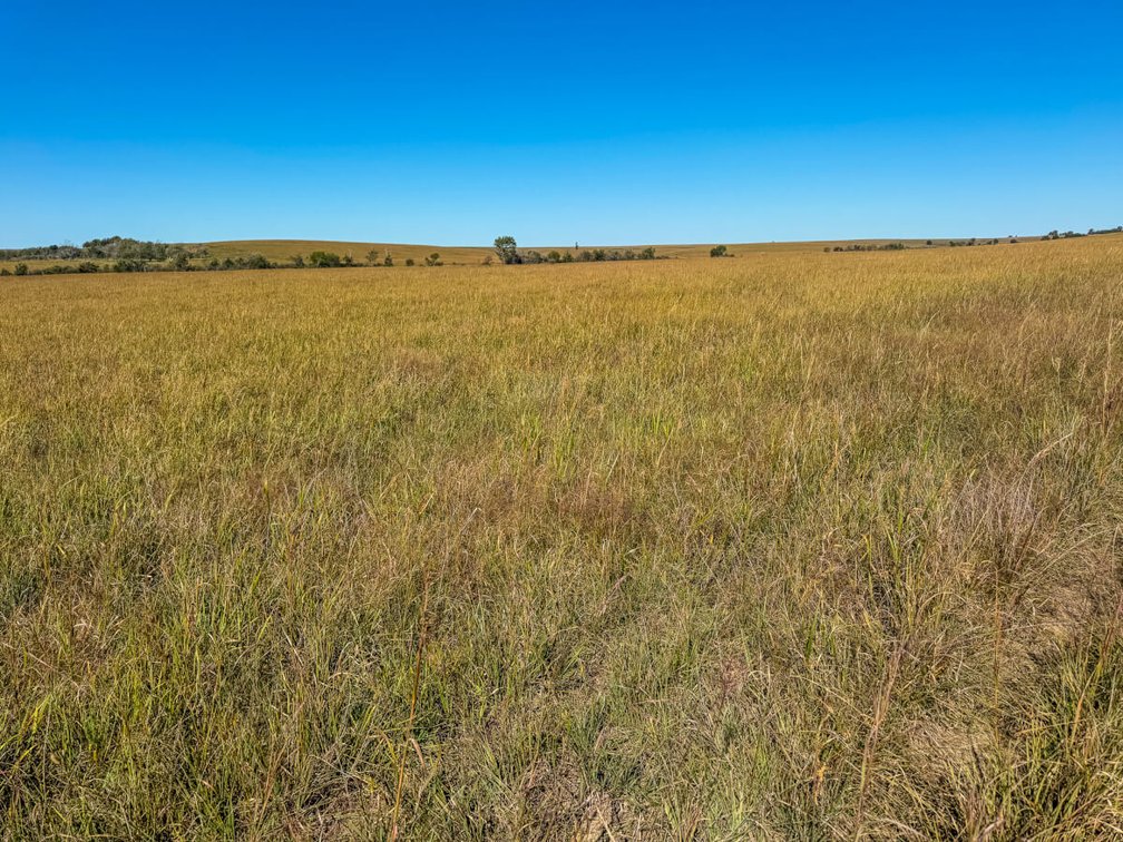 1,120+- Acres Kansas Native Bluestem Pasture Ranch – Woodson County, Kansas photo 5
