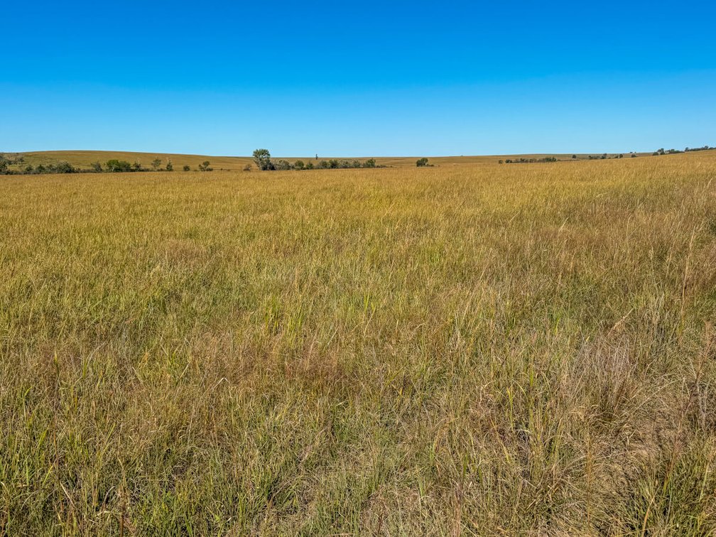 1,120+- Acres Kansas Native Bluestem Pasture Ranch – Woodson County, Kansas photo 6