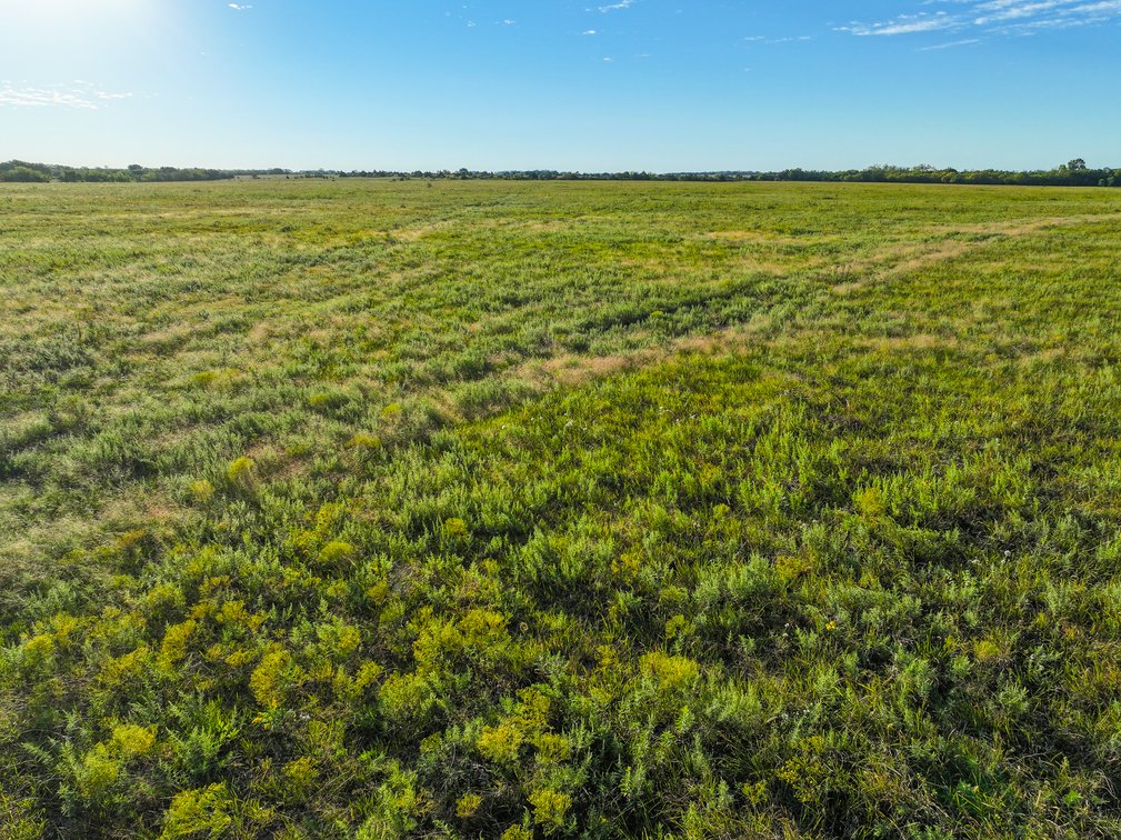 Tract 1: 160+- Acres at SE Bluestem and SE 40th photo 12