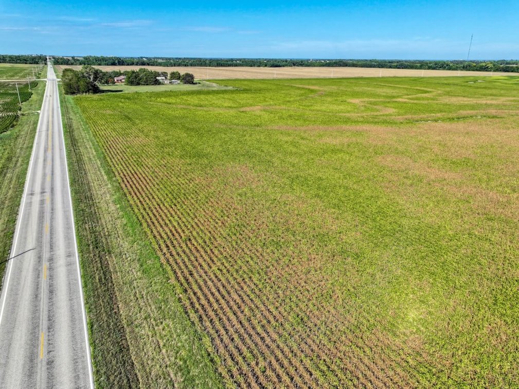 TRACT 1: 36.4+- Acres photo 4