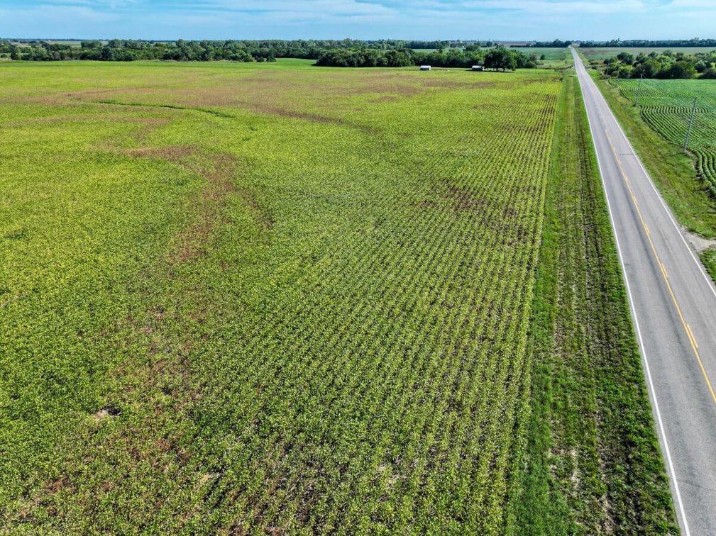 TRACT 1: 36.4+- Acres photo 5