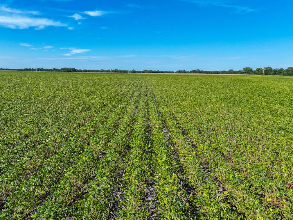 TRACT 2: 23.4+- Acres photo 4