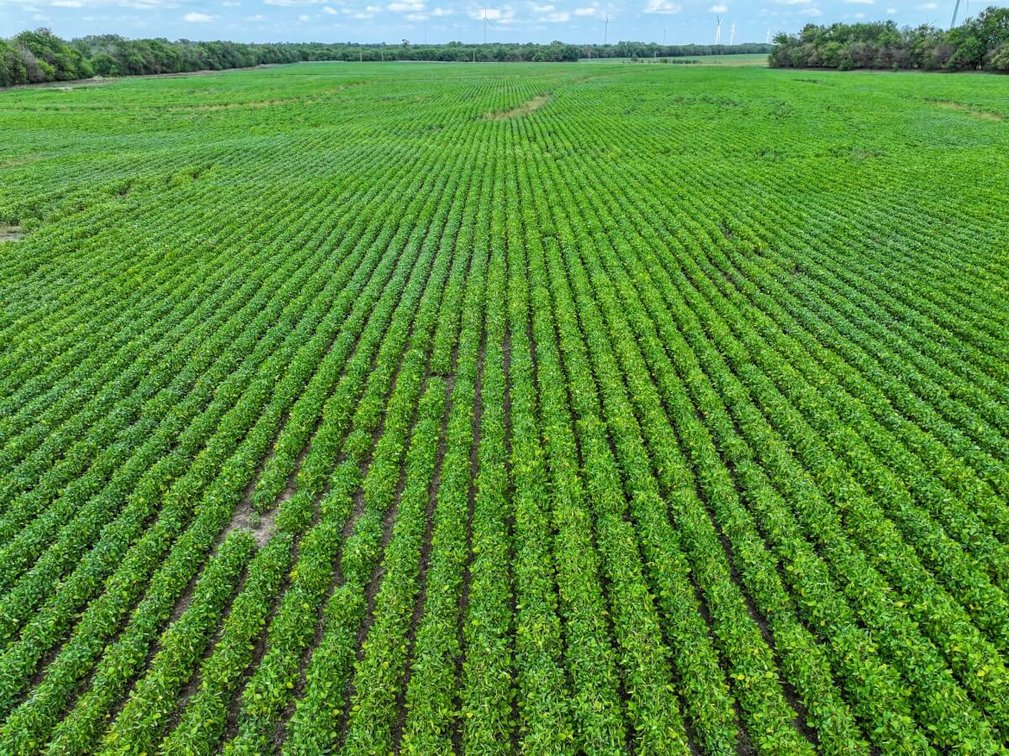 TRACT 1: 138+- Acres photo 3