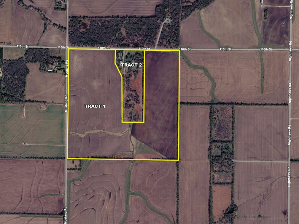 TRACT 1: 138+- Acres photo 9