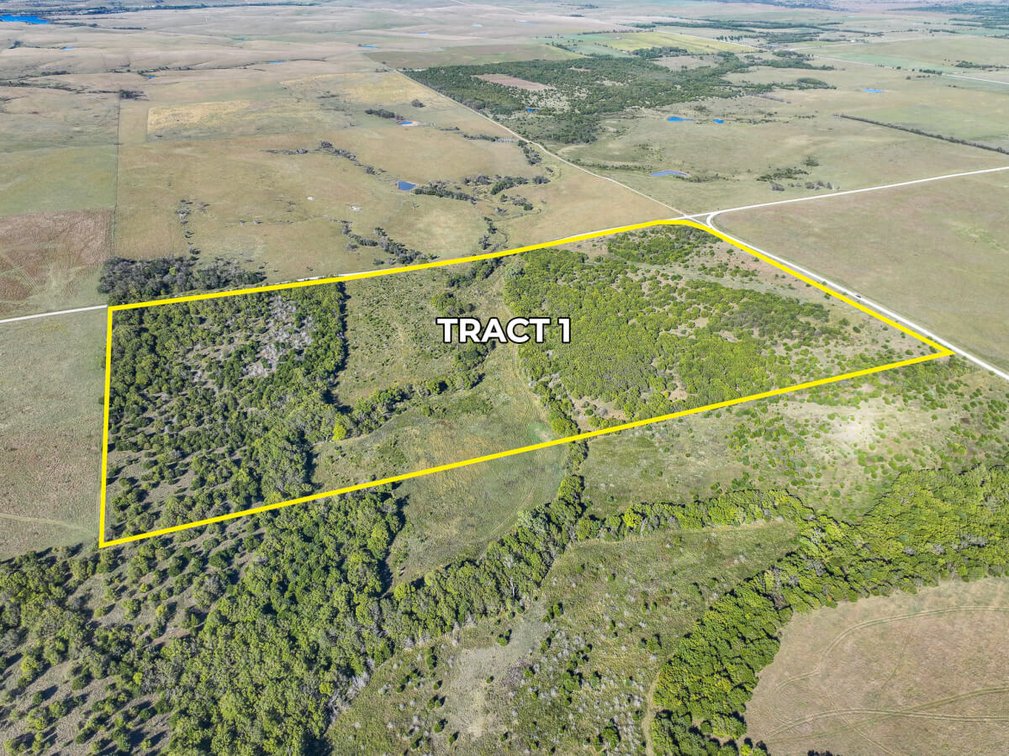 Tract 1: North 80+- Acres photo 2