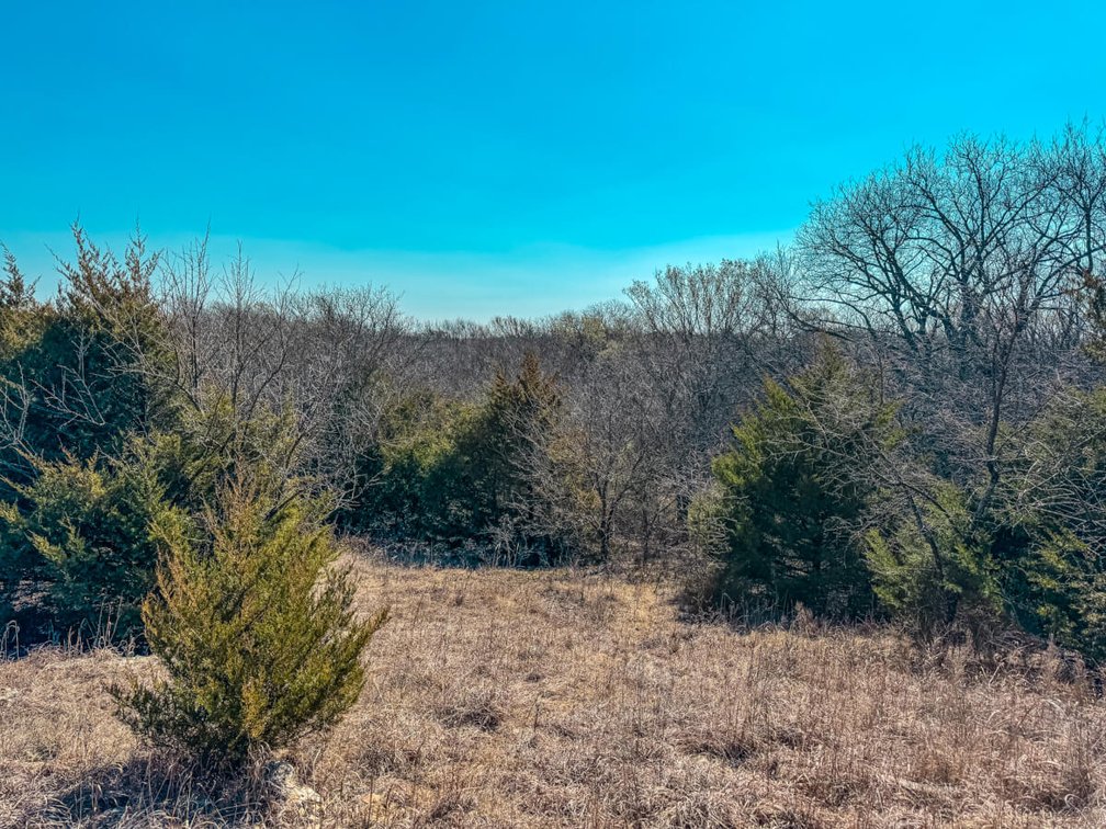 Tract 1: North 80+- Acres photo 5