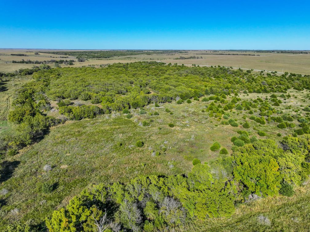Tract 1: North 80+- Acres photo 7