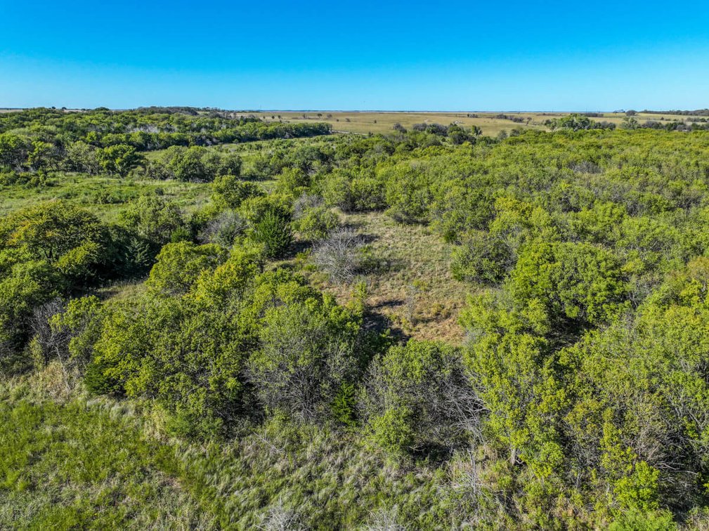 Tract 1: North 80+- Acres photo 8