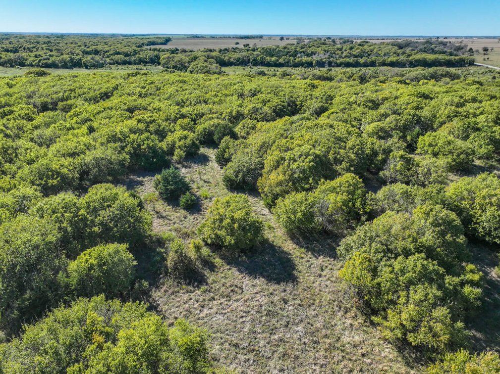 Tract 1: North 80+- Acres photo 9