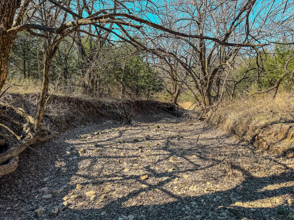 Tract 1: North 80+- Acres photo 3
