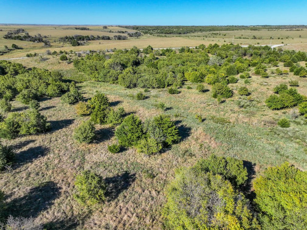 Tract 1: North 80+- Acres photo 10