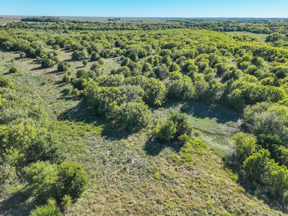 Tract 1: North 80+- Acres photo 11