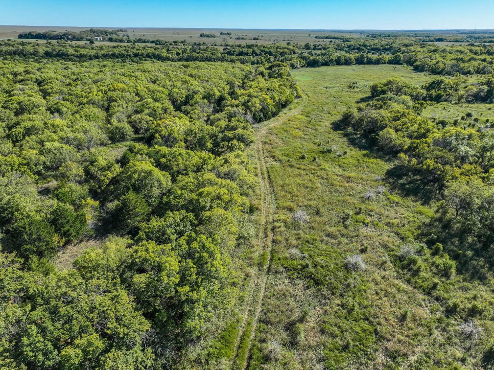 Tract 1: North 80+- Acres photo 12