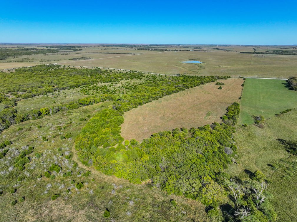 Tract 2: South 80+- Acres photo 2