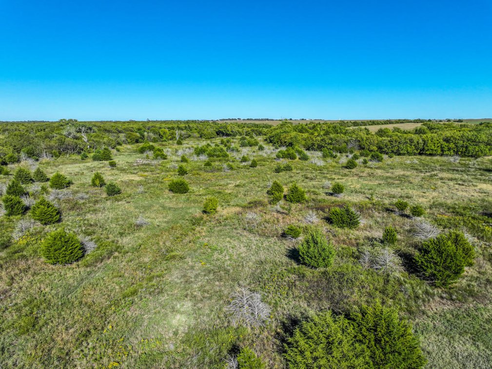 Tract 2: South 80+- Acres photo 3