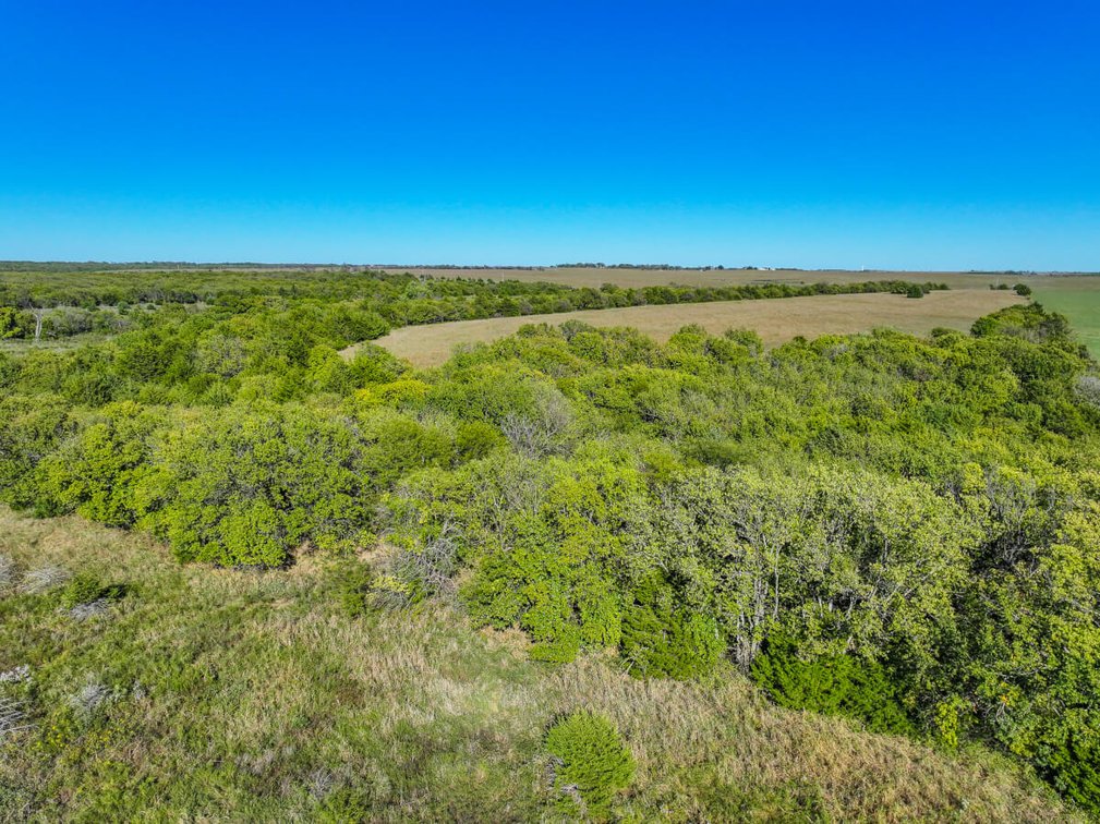Tract 2: South 80+- Acres photo 4