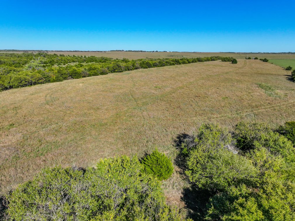 Tract 2: South 80+- Acres photo 5