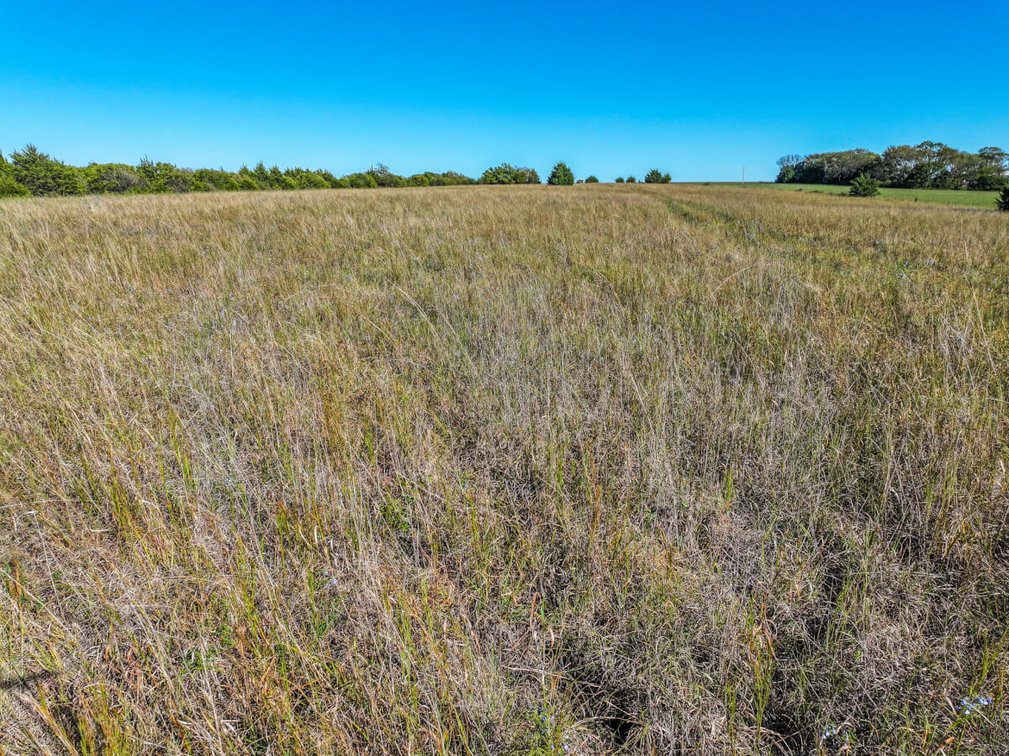 Tract 2: South 80+- Acres photo 6