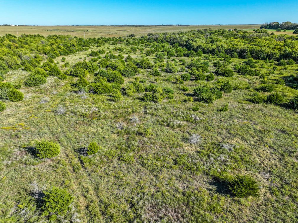 Tract 2: South 80+- Acres photo 7