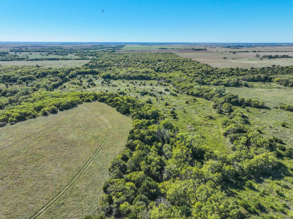Tract 2: South 80+- Acres photo 8