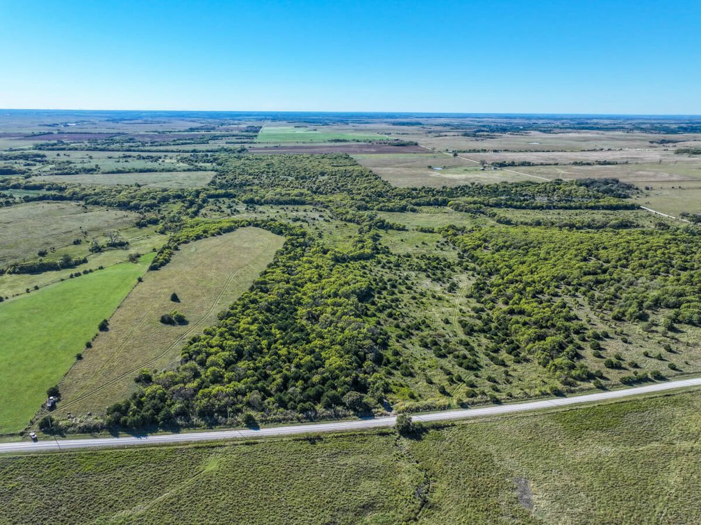 Tract 2: South 80+- Acres photo 10