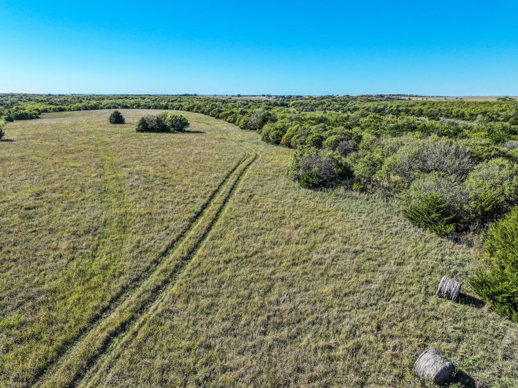 Tract 2: South 80+- Acres photo 11