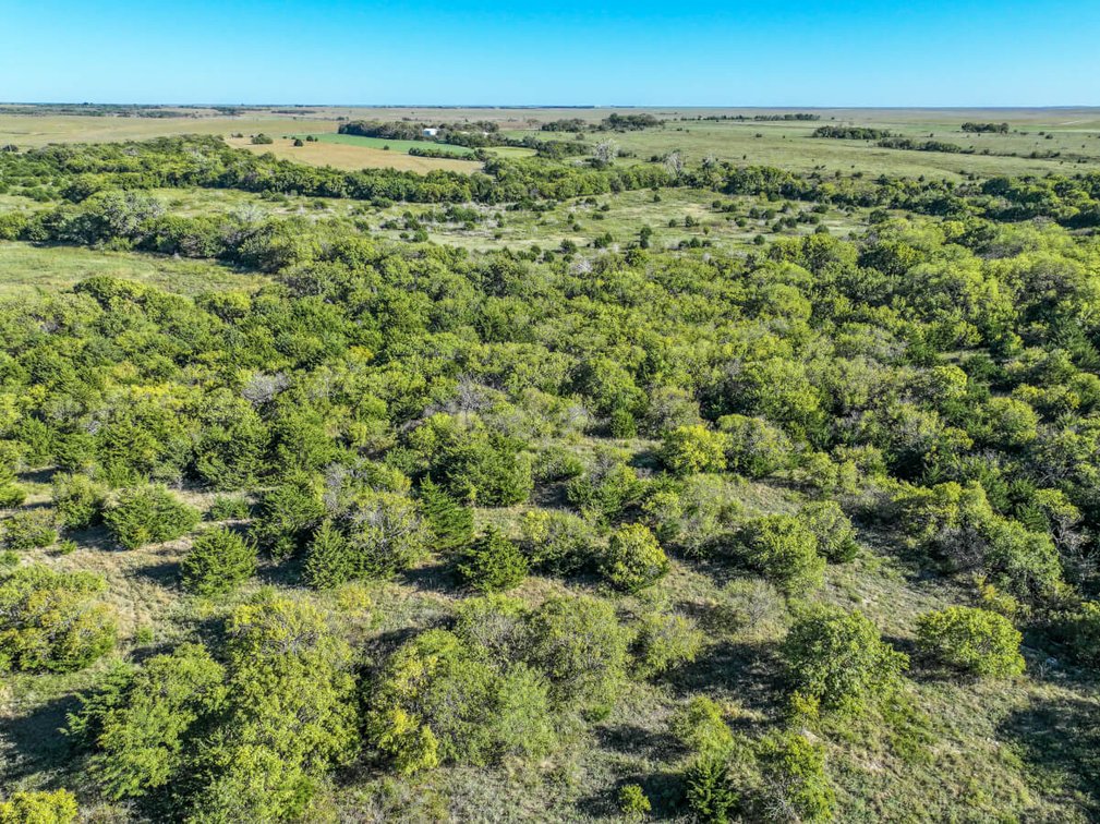 Tract 2: South 80+- Acres photo 12