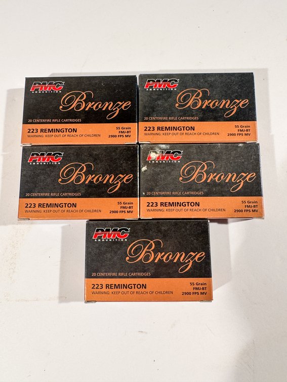 100 Rounds PMC Bronze 223 Rem