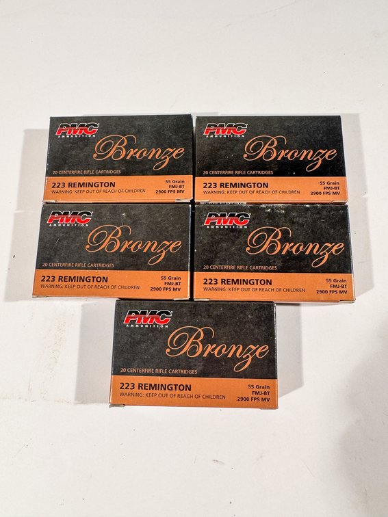 100 Rounds PMC Bronze 223 Rem