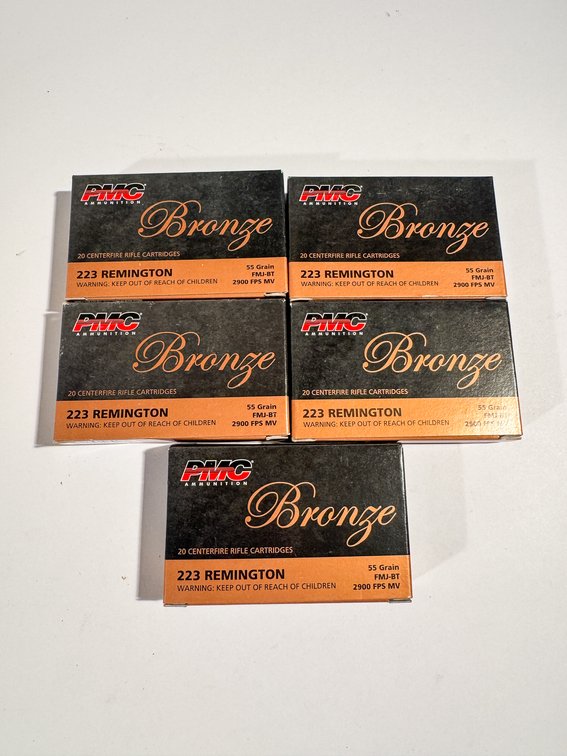 100 Rounds PMC Bronze 223 Rem