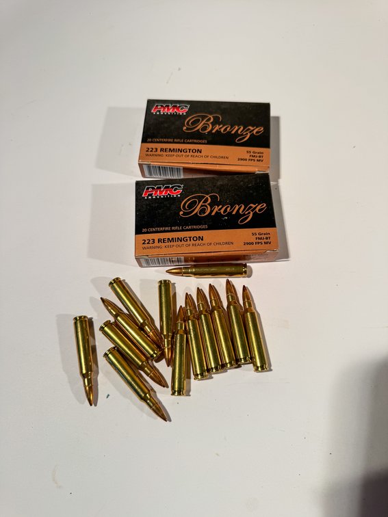 53 Rounds PMC Bronze 223 Rem