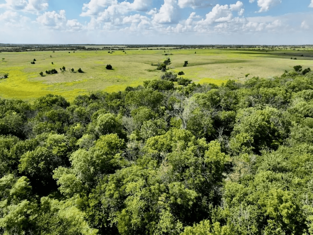 640+- Acres Flint Hills Ranch, Butler County, Kansas; Watershed Lake, Pasture, Pens & Hunting photo 10