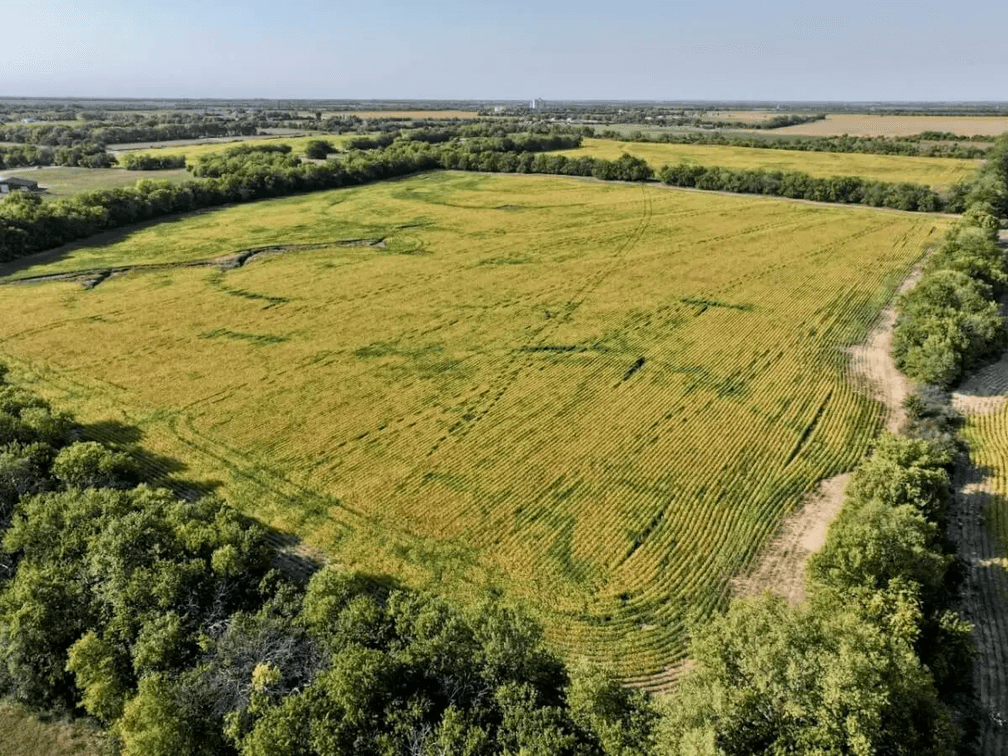 114+- Acres on Greenwich near 101st St North, Sedgwick County, Kansas photo 6