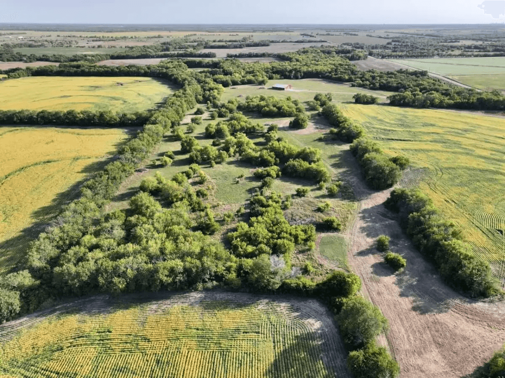 114+- Acres on Greenwich near 101st St North, Sedgwick County, Kansas photo 4